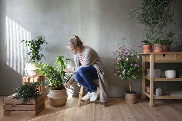 Comment créer un potager urbain dans un petit espace intérieur ?