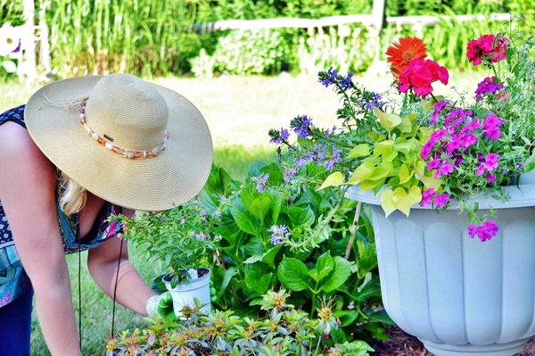 Comment choisir les éléments de jardin qui correspondent à votre style