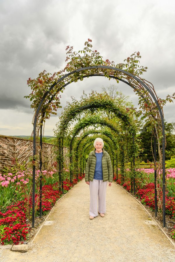 Arche jardin : une installation pour embellir son extérieur