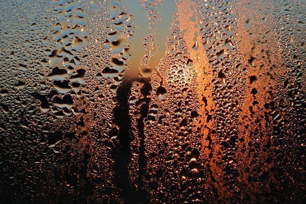 Comment bien choisir une vitre antibuée pour une visibilité optimale